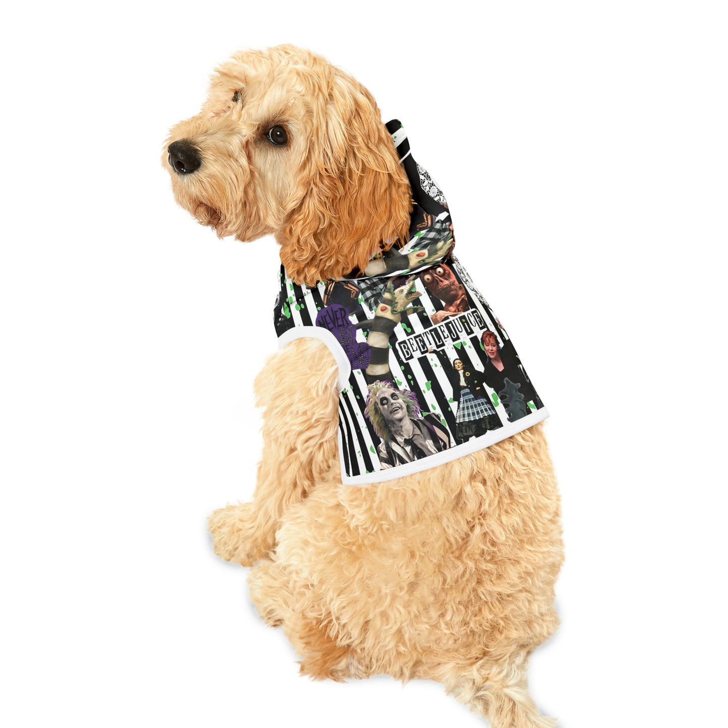 Beetlejuice Strange And Unusual Collage Pet Hoodie