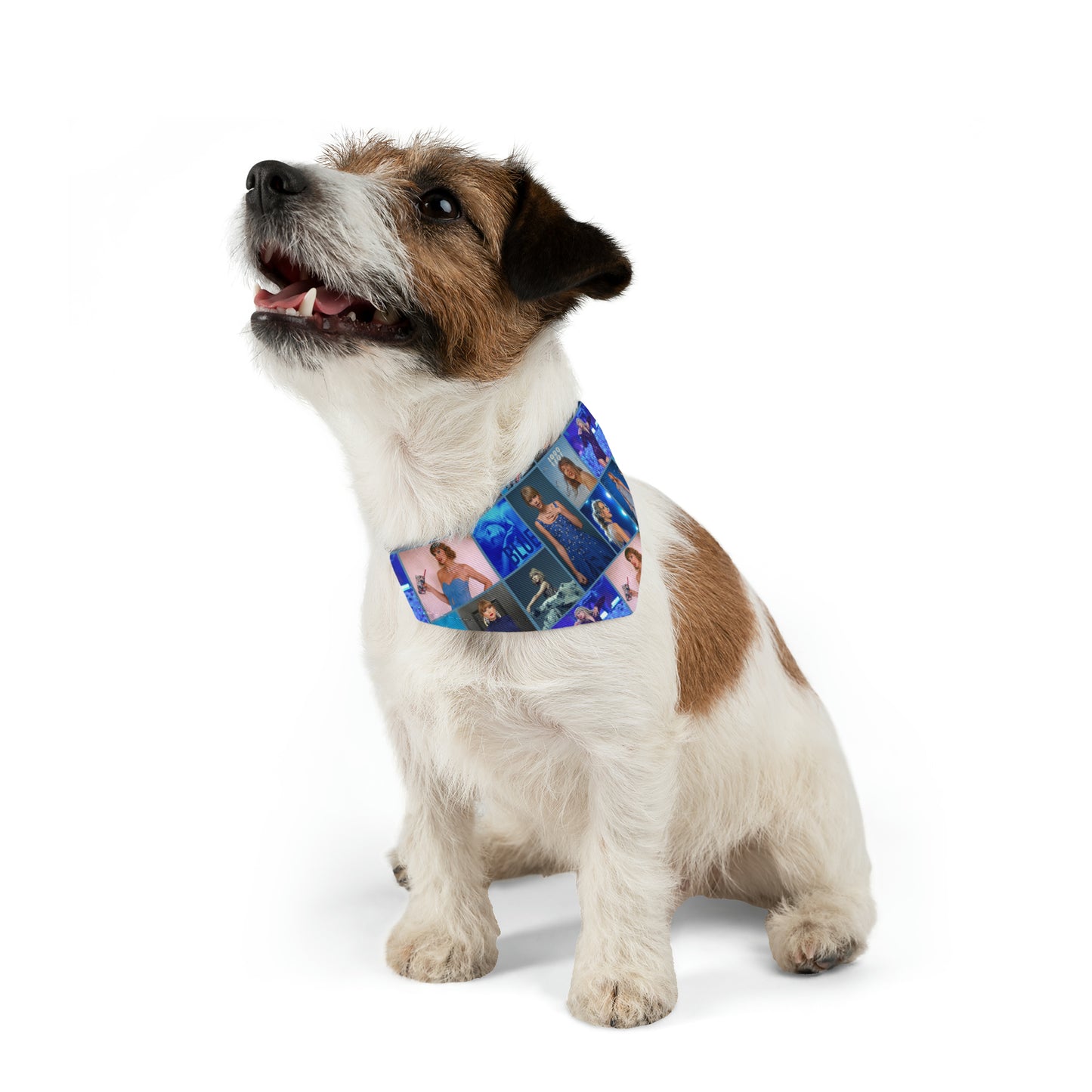 Taylor Swift Blue Aesthetic Collage Pet Bandana Collar