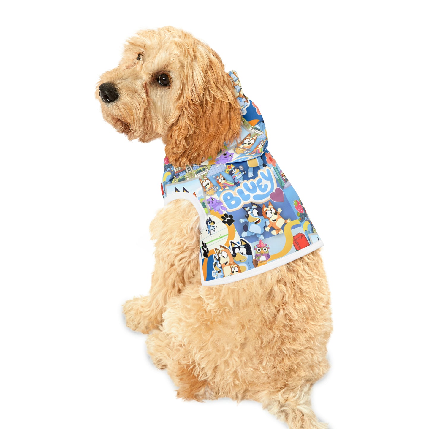 Bluey Playtime Collage Pet Hoodie