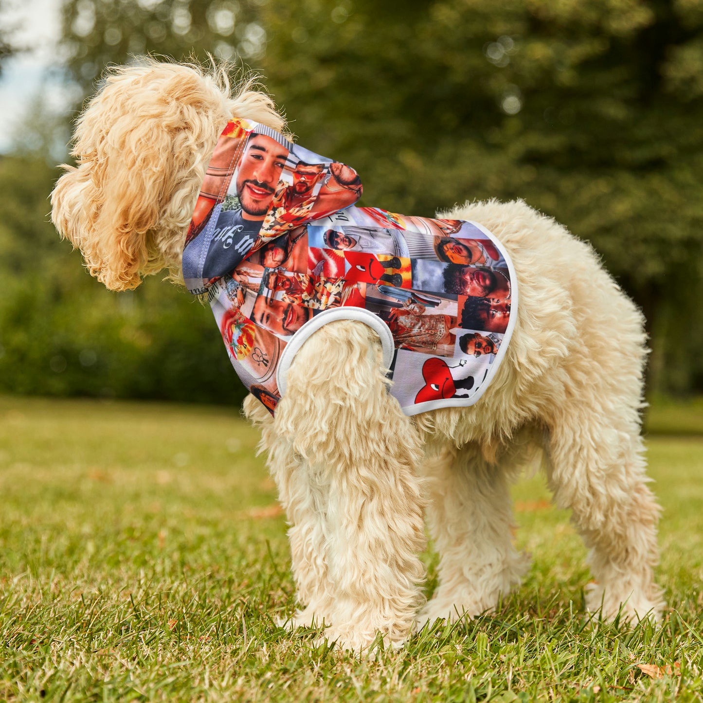 Bad Bunny Un Verano Sin Ti Photo Collage Pet Hoodie