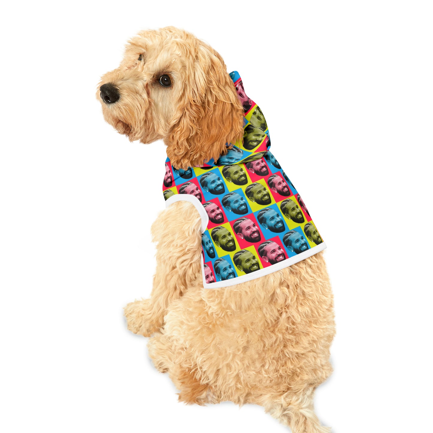 Drake Colored Checker Faces Pet Hoodie
