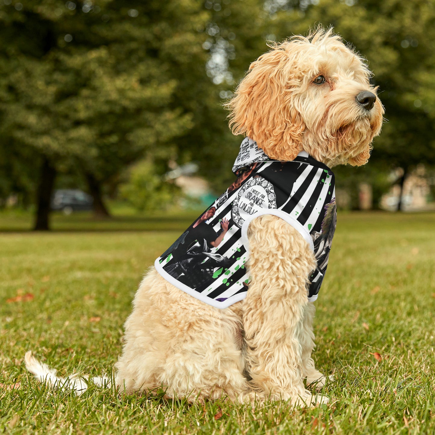 Beetlejuice Strange And Unusual Collage Pet Hoodie