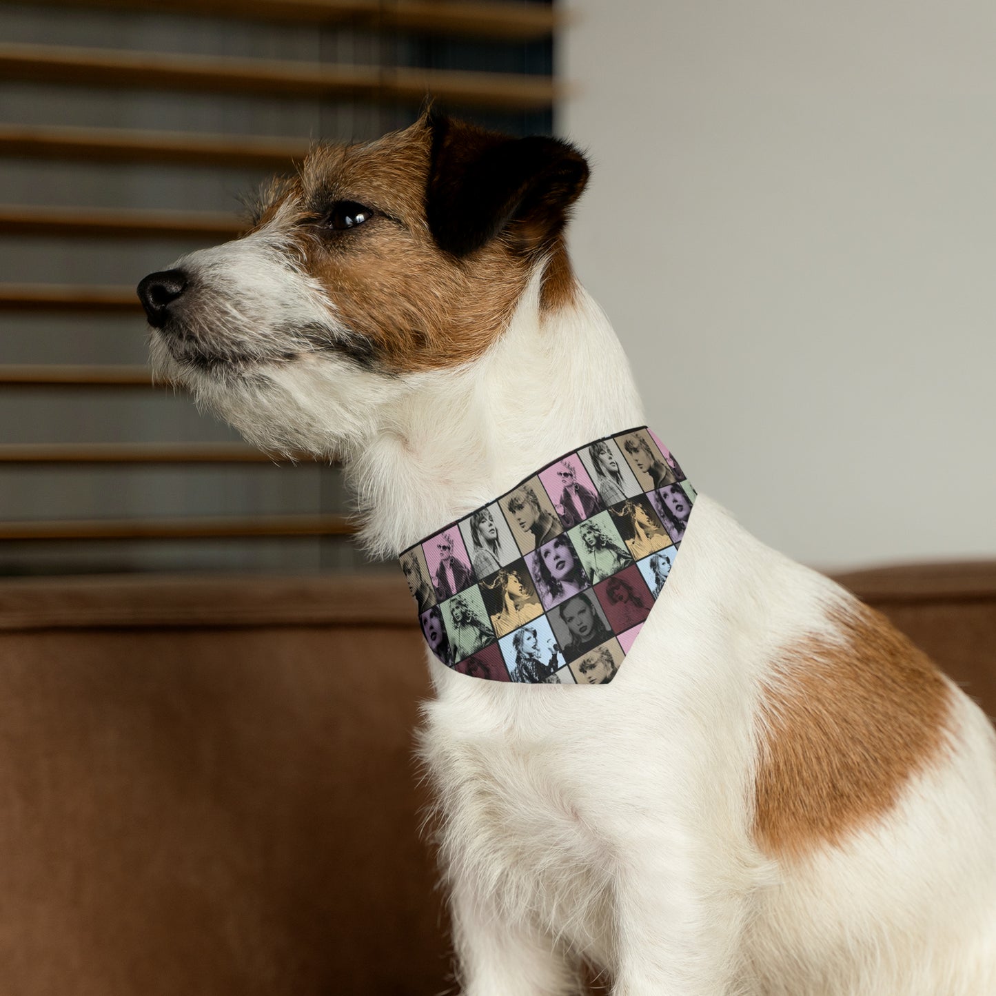 Taylor Swift Eras Collage Pet Bandana Collar