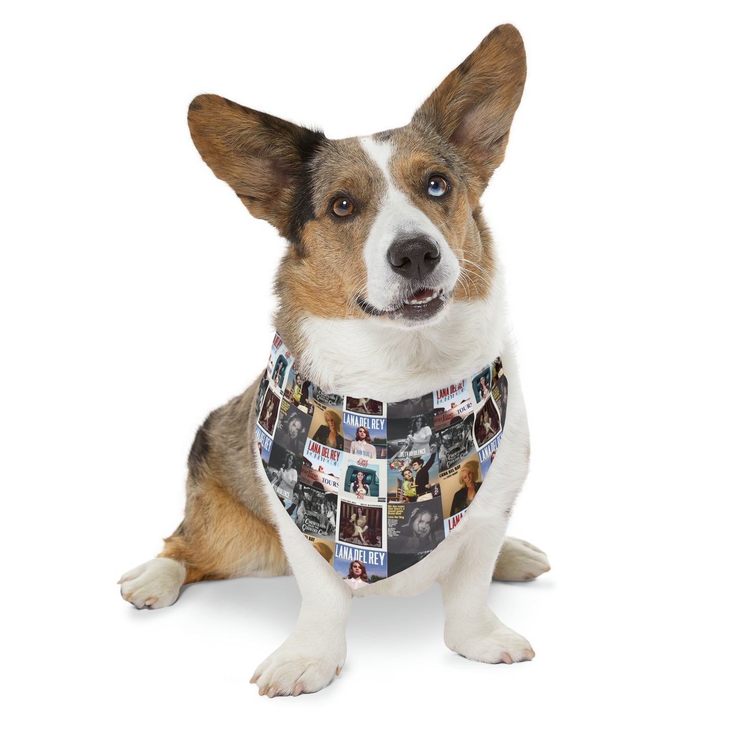 Lana Del Rey Album Cover Collage Pet Bandana Collar