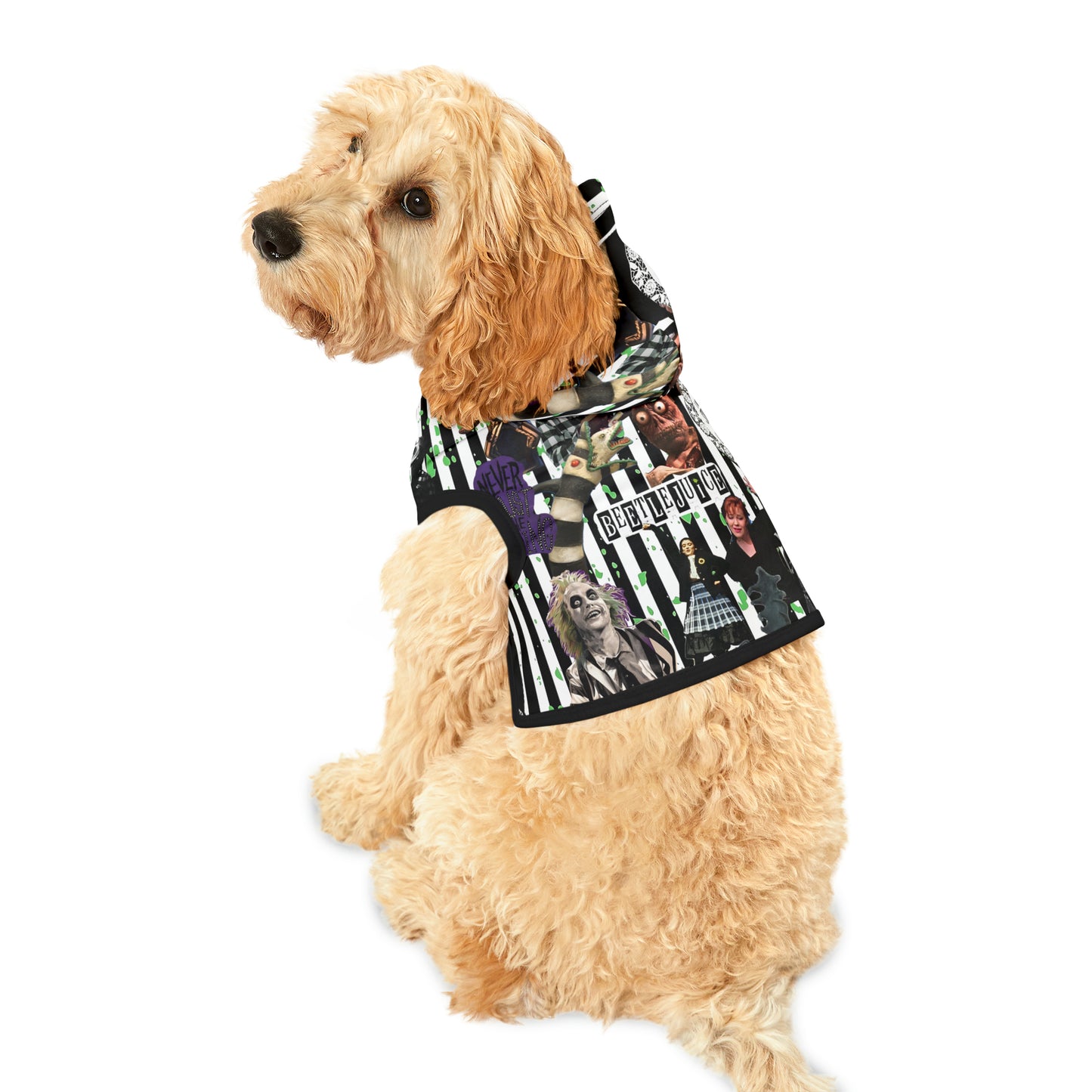 Beetlejuice Strange And Unusual Collage Pet Hoodie