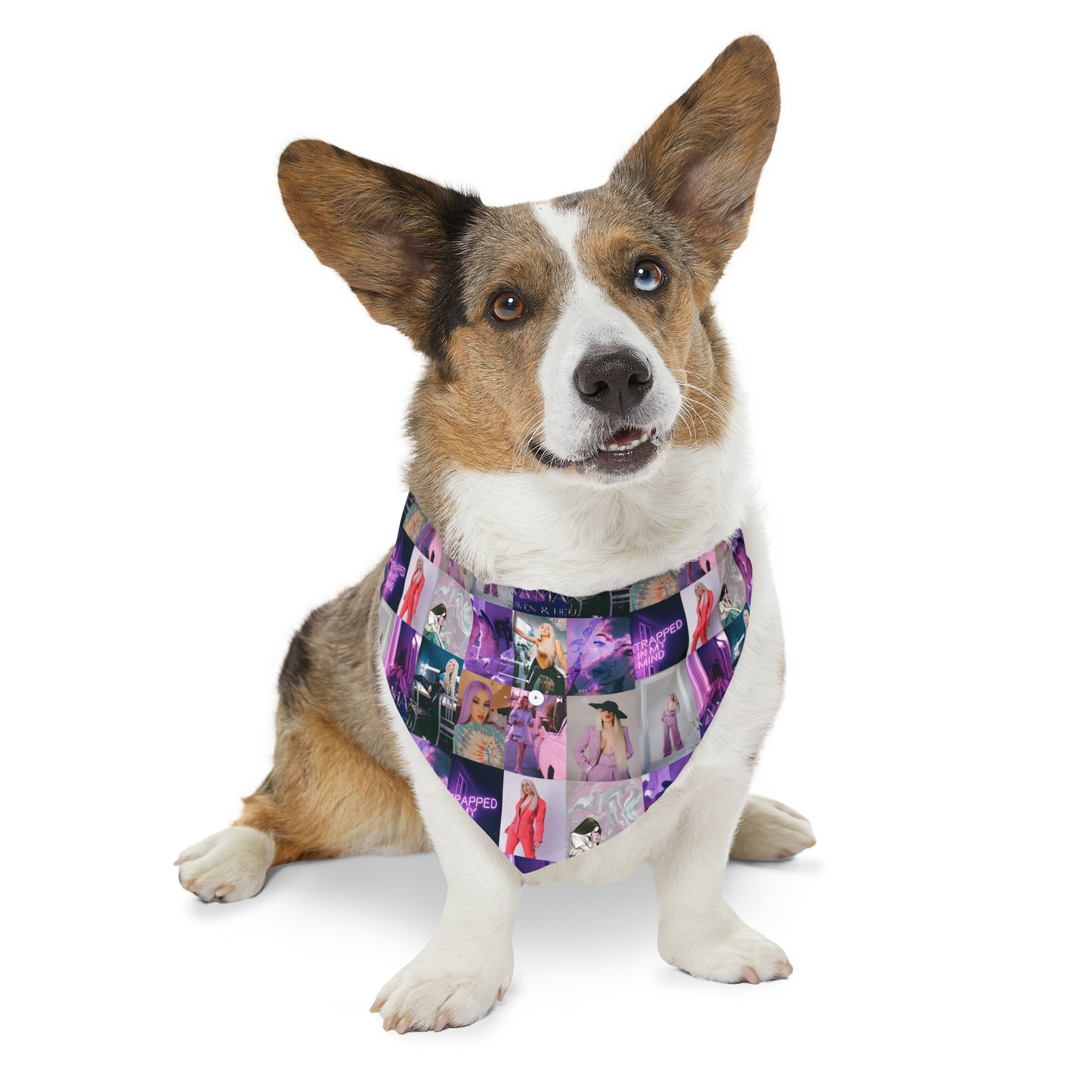 Ava Max Belladonna Photo Collage Pet Bandana Collar