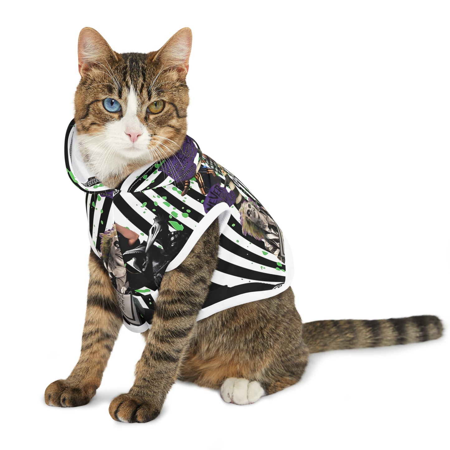 Beetlejuice Strange And Unusual Collage Pet Hoodie