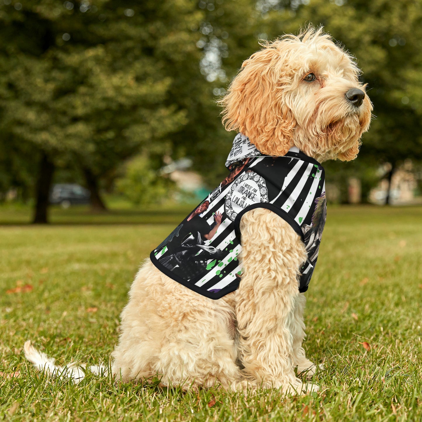 Beetlejuice Strange And Unusual Collage Pet Hoodie