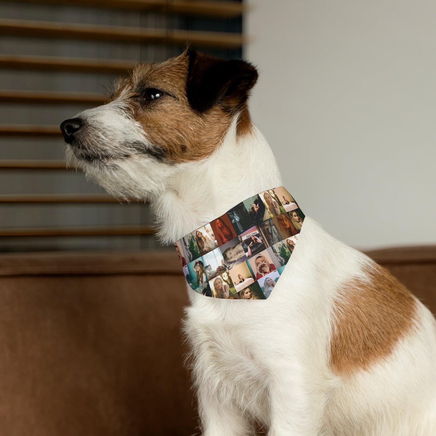 Sabrina Carpenter Album Cover Collage Pet Bandana Collar