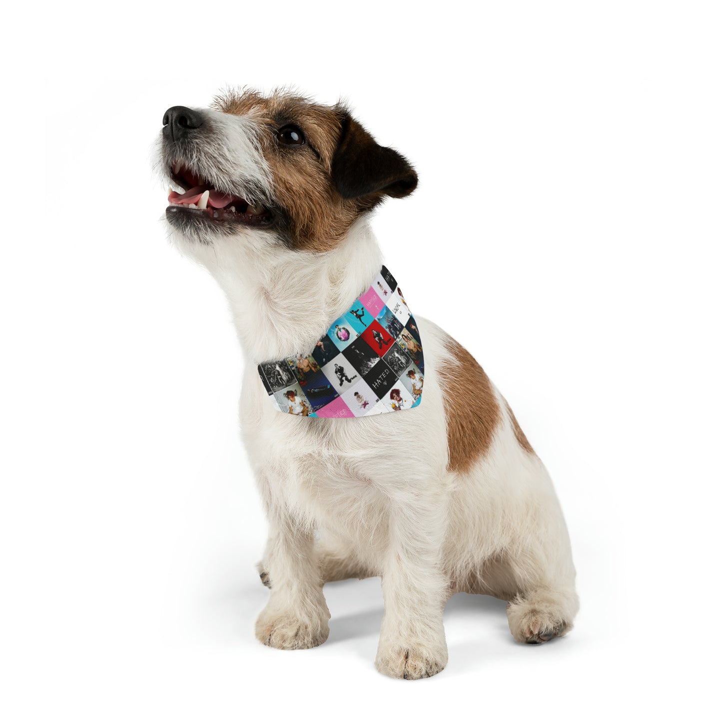 YUNGBLUD Album Cover Art Collage Pet Bandana Collar