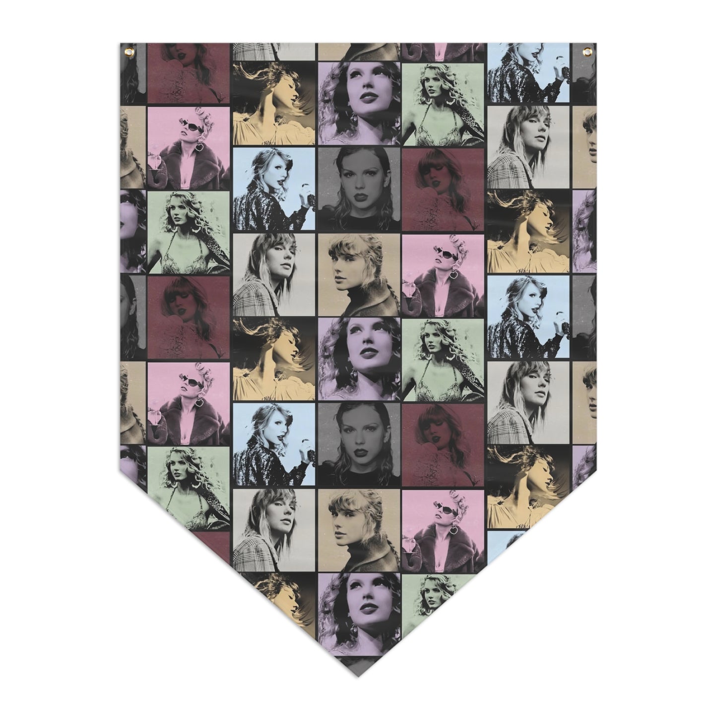 Taylor Swift Eras Collage Pennant Banner