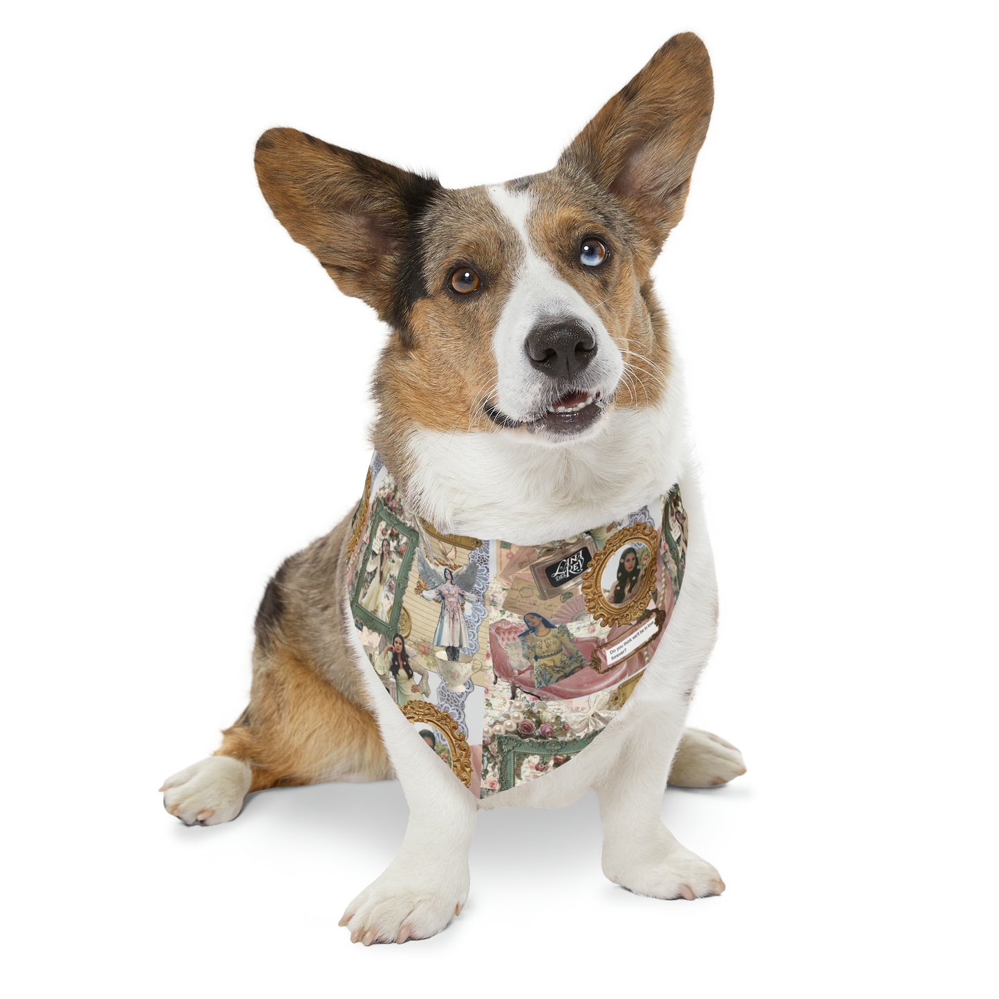 Lana Del Rey Victorian Collage Pet Bandana Collar