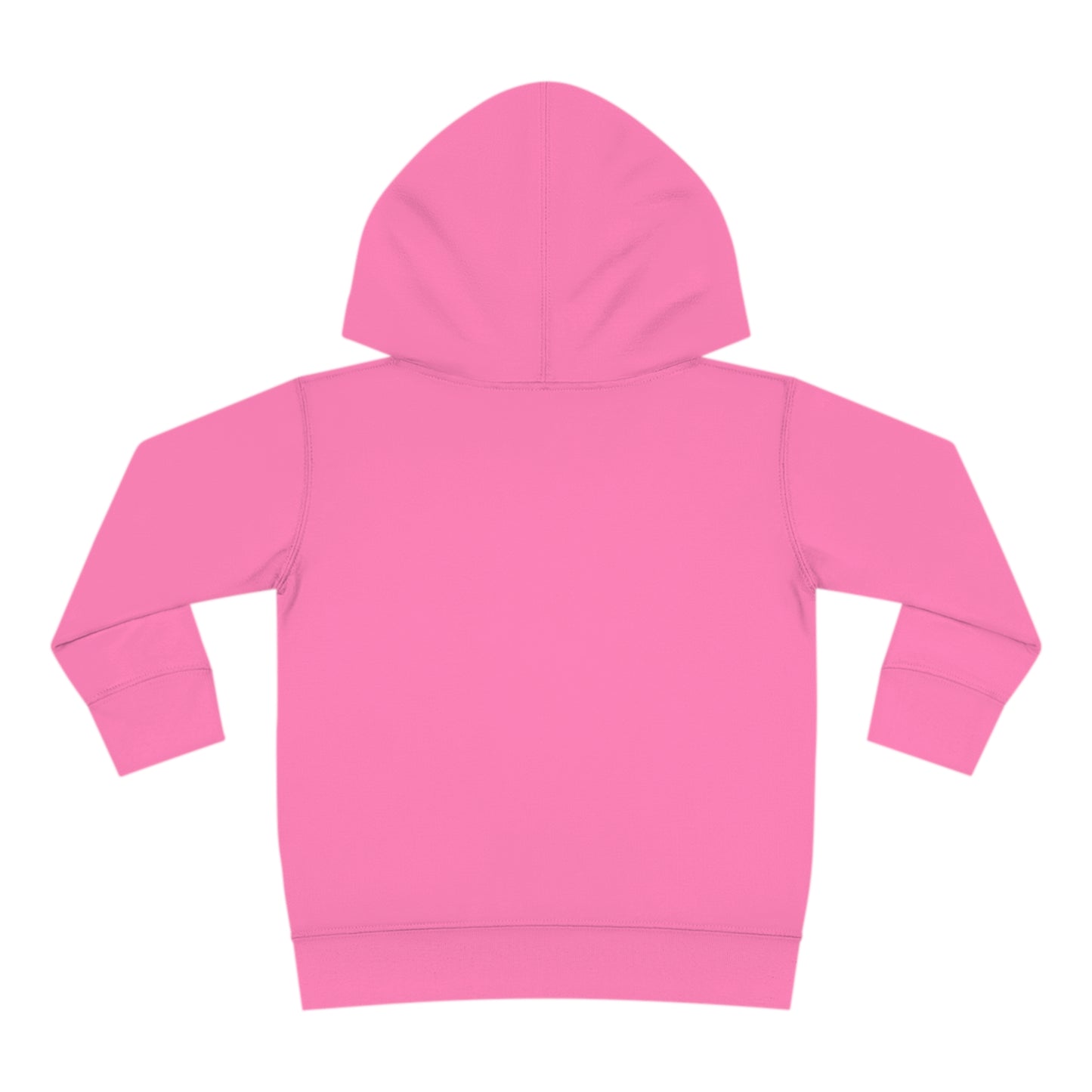 Måneskin Circular Group Photo Toddler Pullover Fleece Hoodie