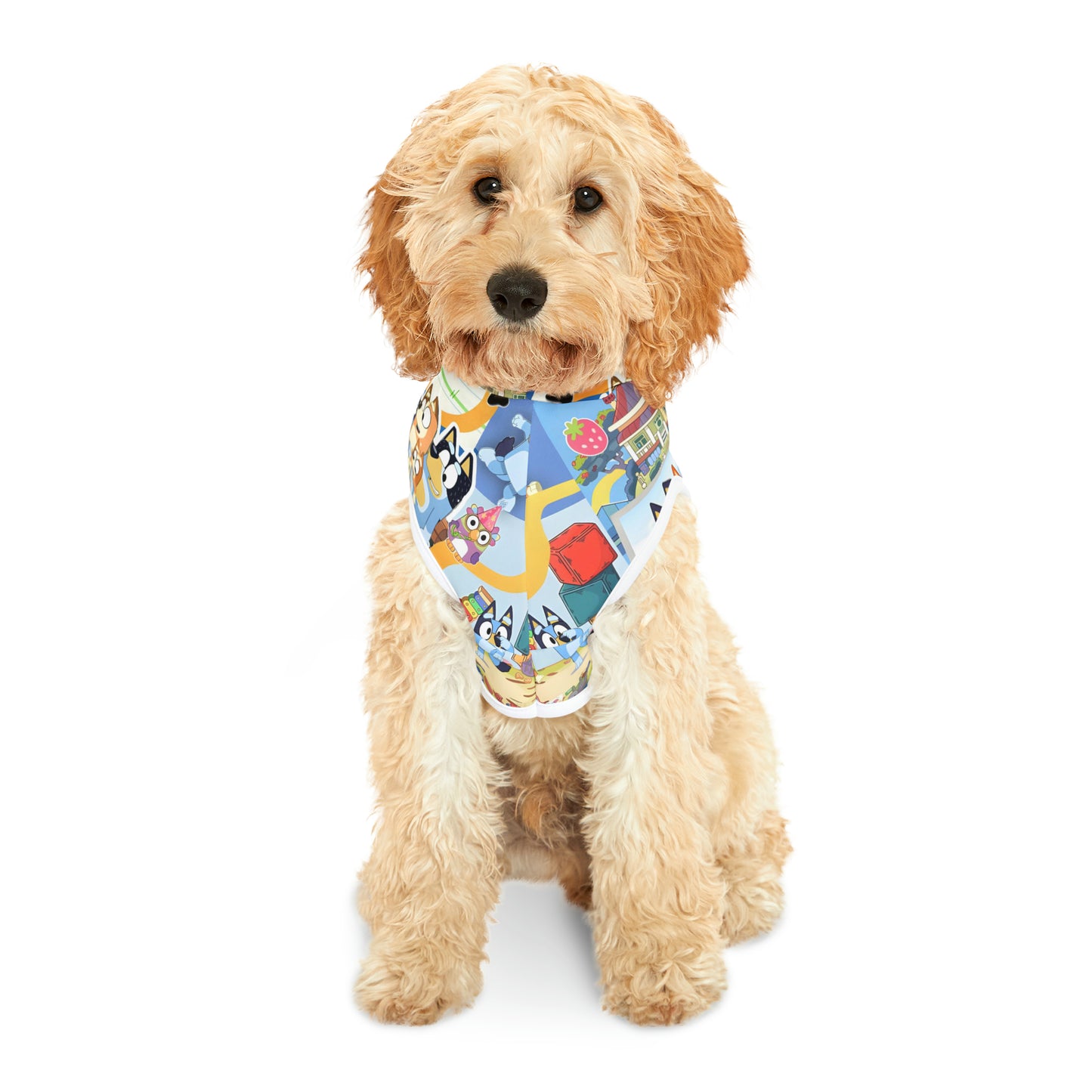 Bluey Playtime Collage Pet Hoodie