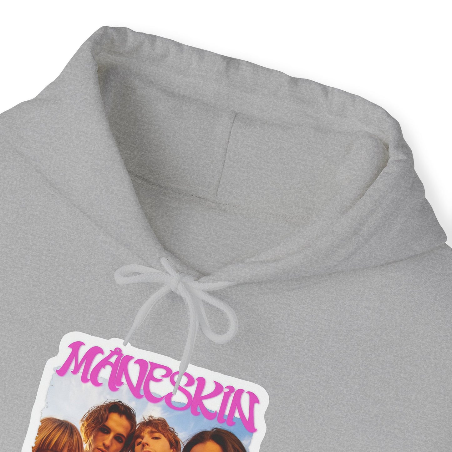 Måneskin Group Photo Unisex Heavy Blend Hooded Sweatshirt