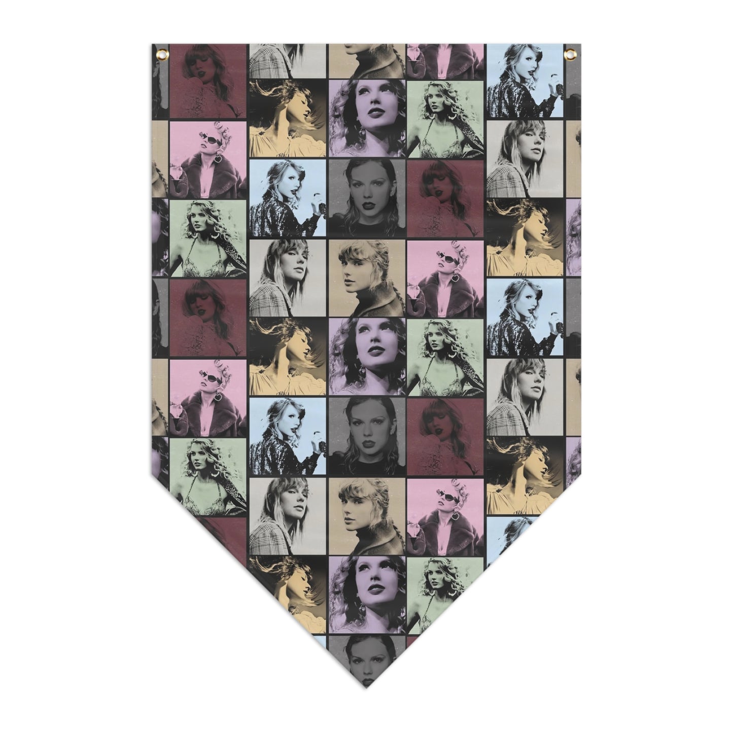 Taylor Swift Eras Collage Pennant Banner