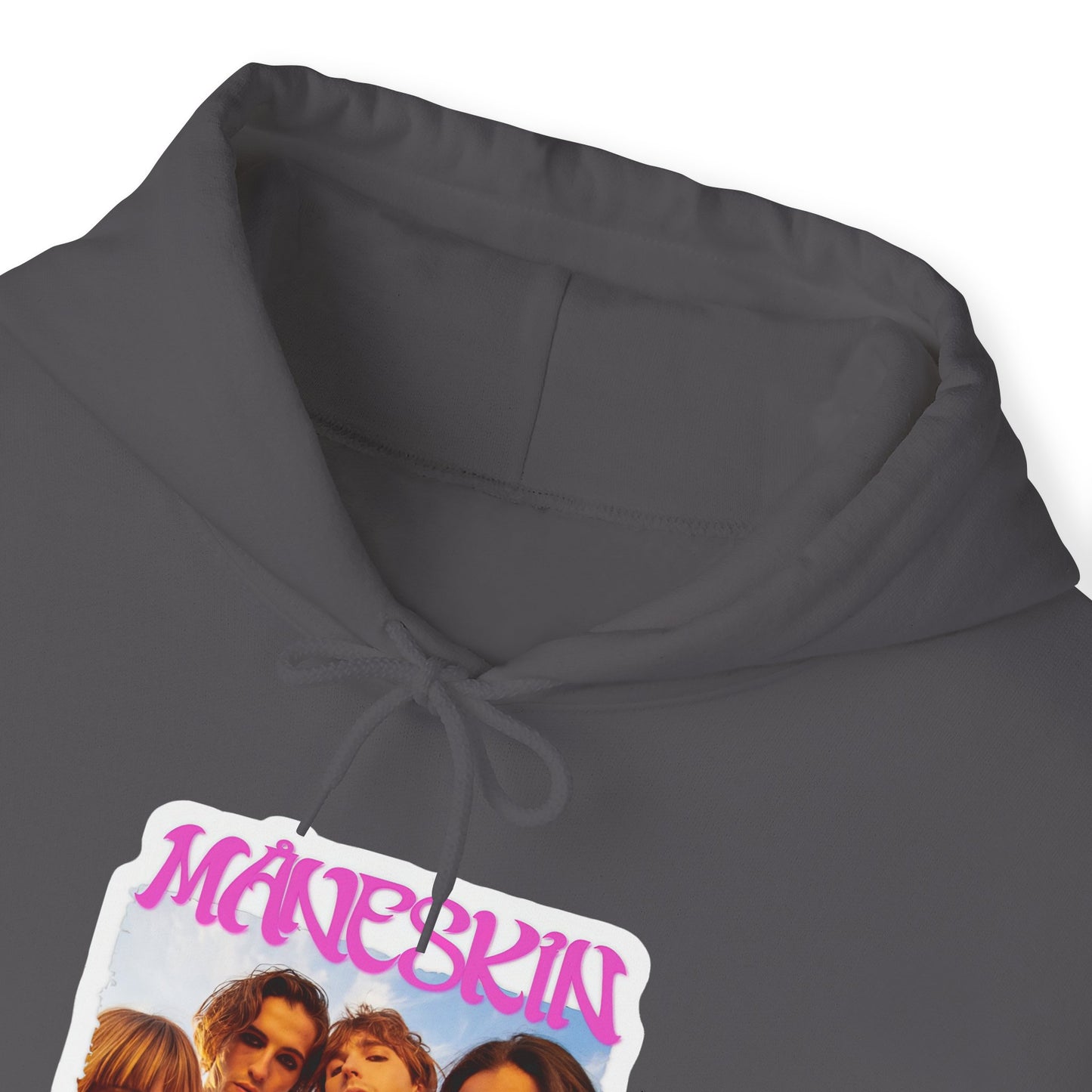 Måneskin Group Photo Unisex Heavy Blend Hooded Sweatshirt