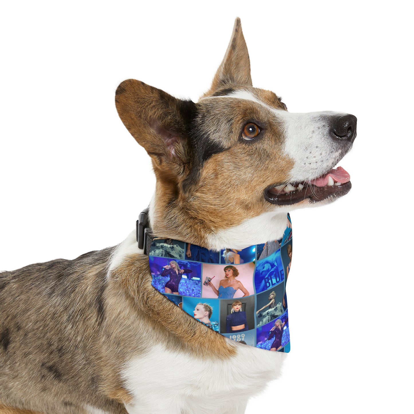 Taylor Swift Blue Aesthetic Collage Pet Bandana Collar