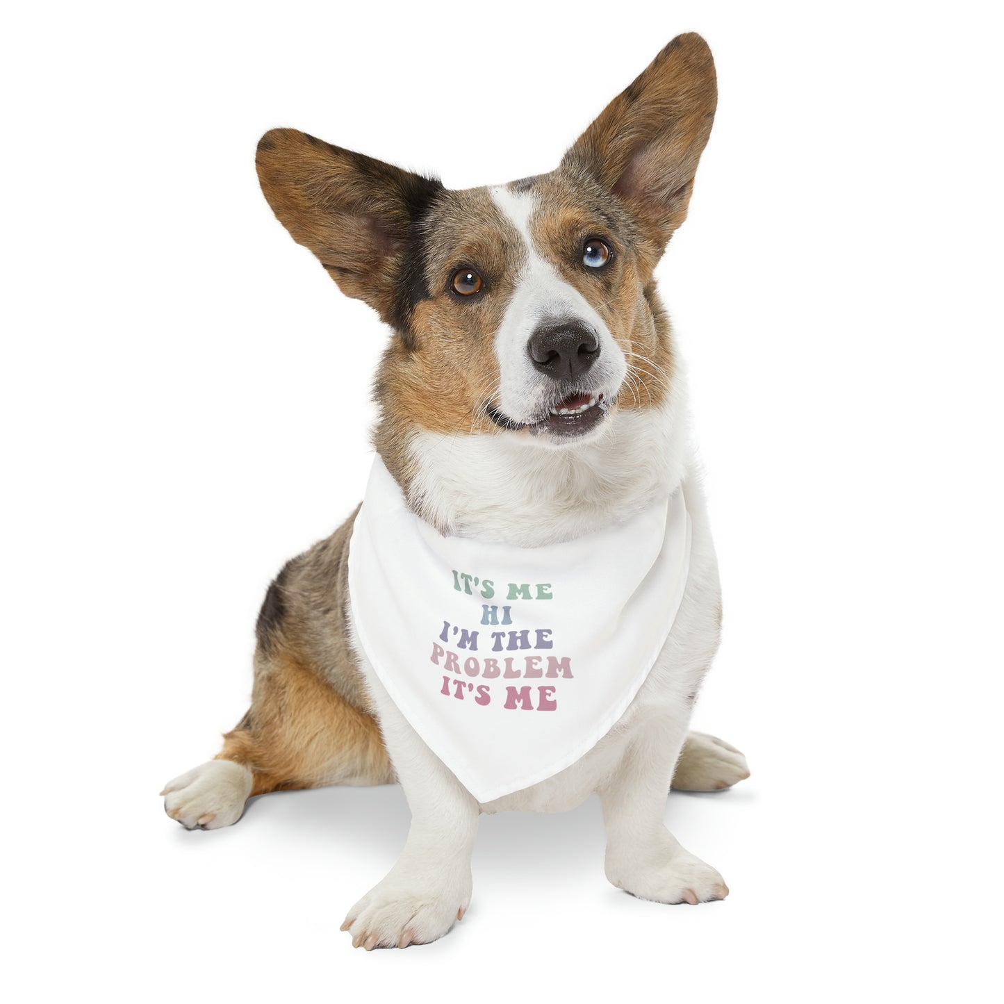 Taylor Swift It's Me Hi Pet Bandana Collar