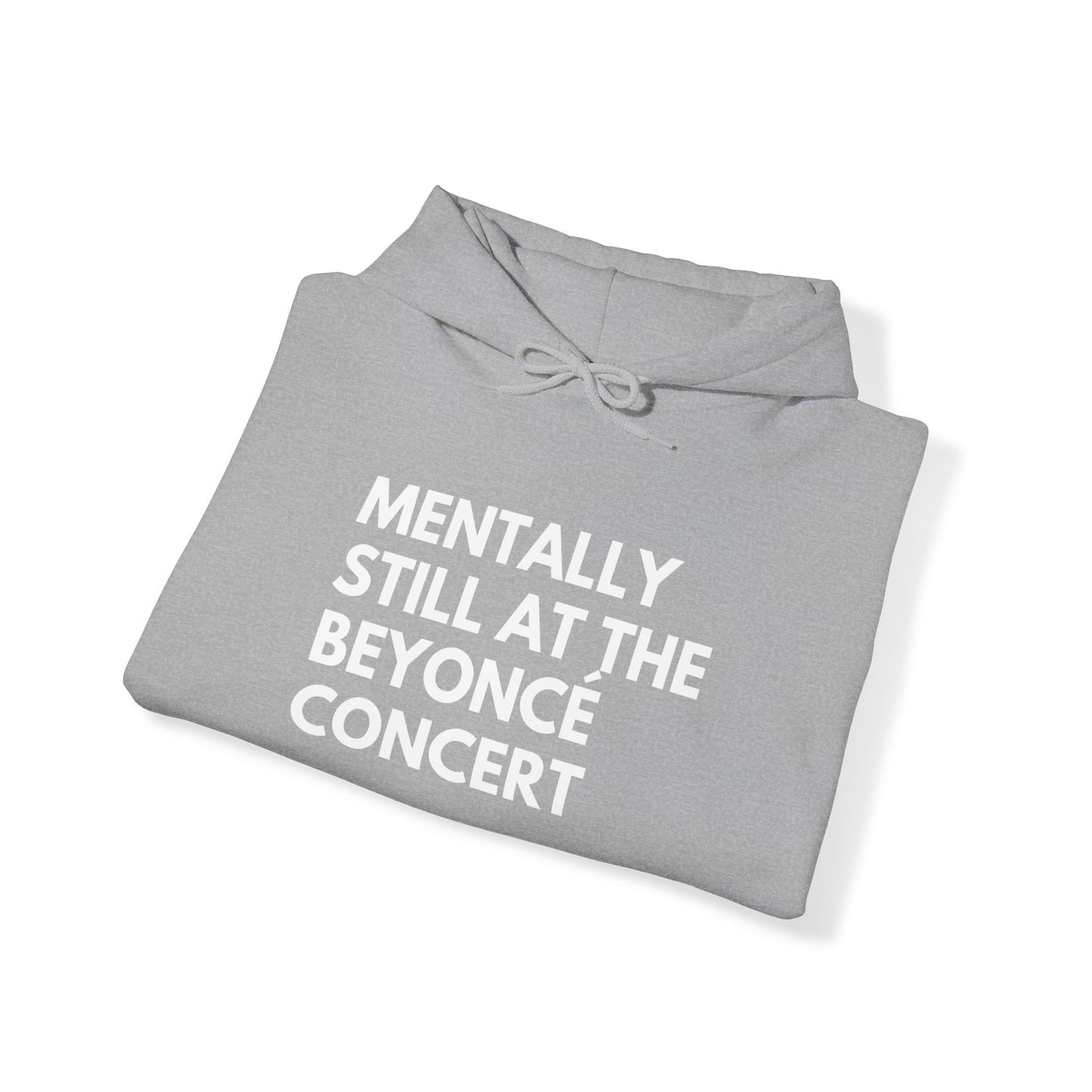 Mentally Still At The Beyoncè Concert Unisex Heavy Blend Hooded Sweatshirt