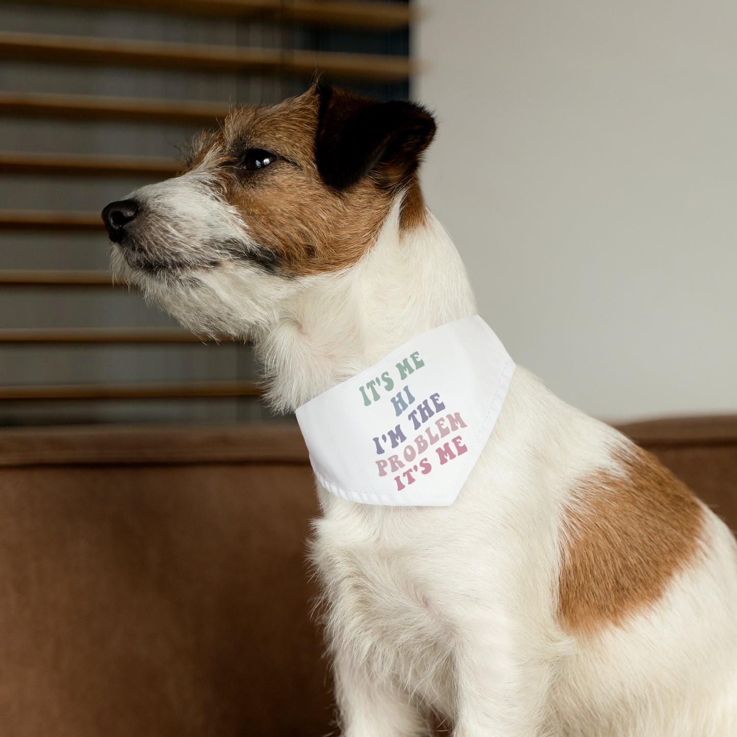 Taylor Swift It's Me Hi Pet Bandana Collar