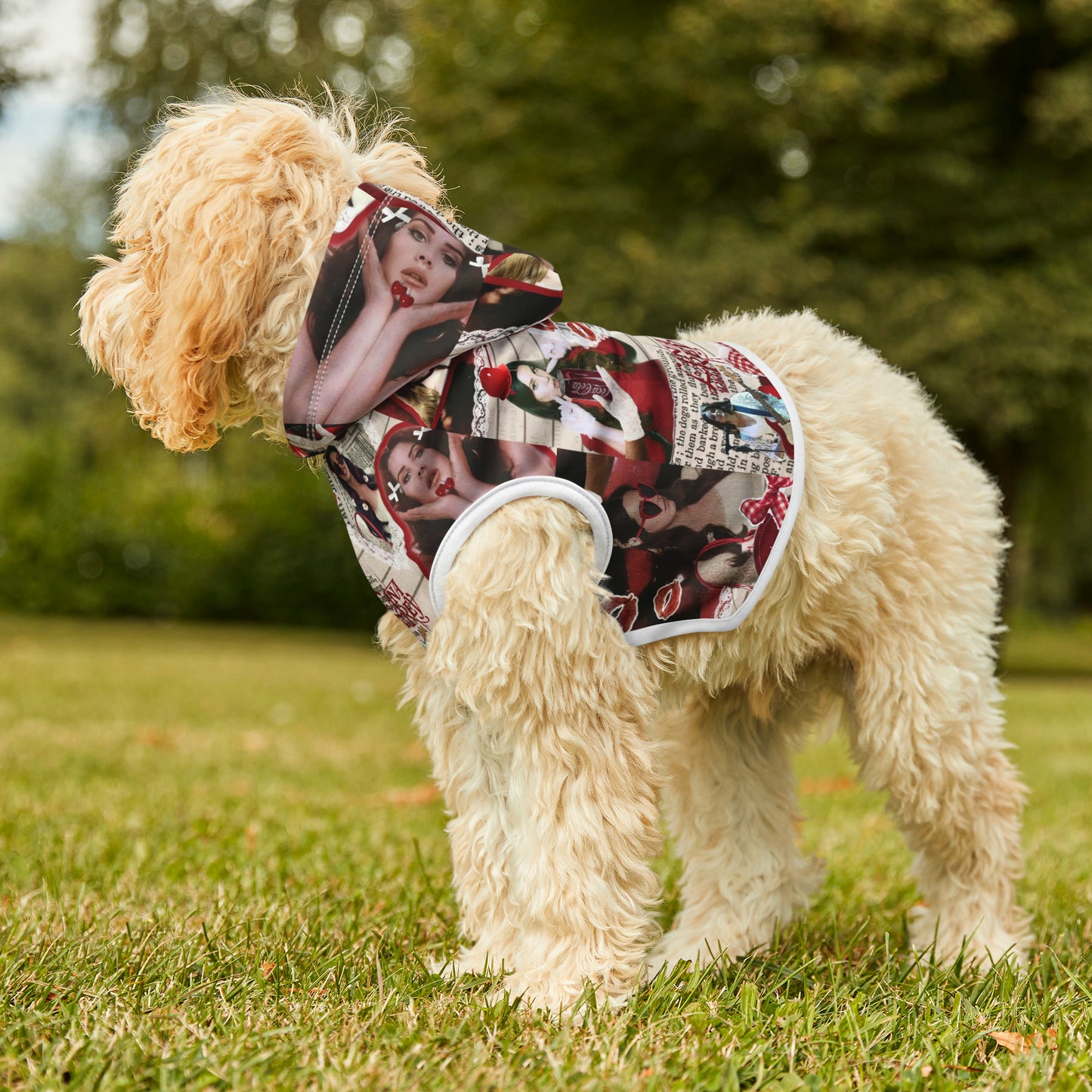 Lana Del Rey Cherry Coke Collage Pet Hoodie