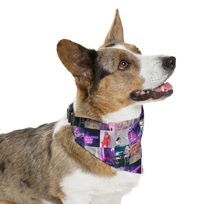 Ava Max Belladonna Photo Collage Pet Bandana Collar