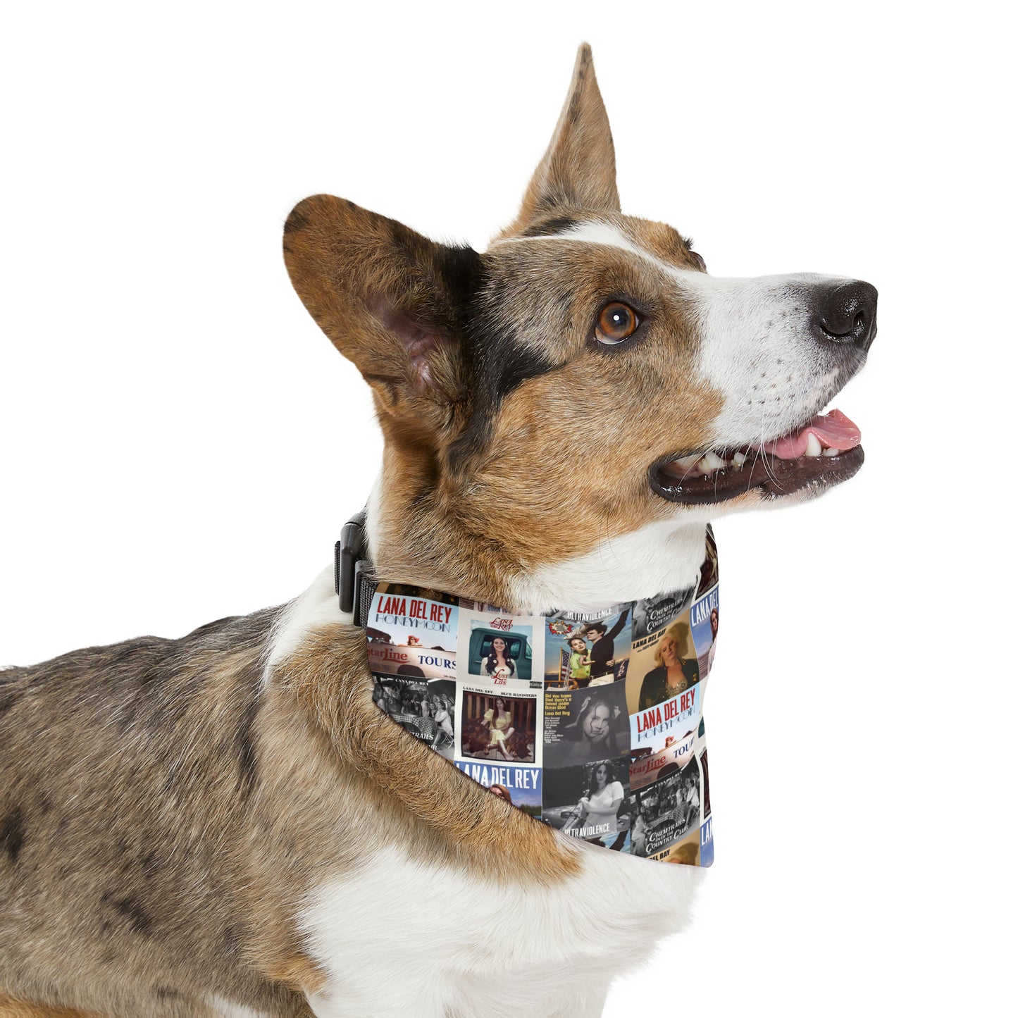 Lana Del Rey Album Cover Collage Pet Bandana Collar