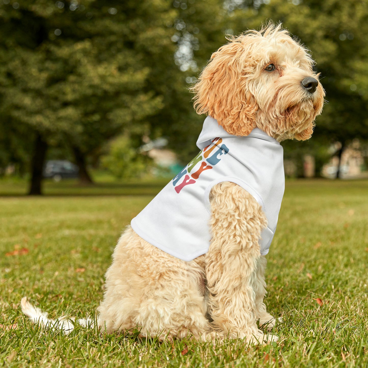 Taylor Swift Swiftie Like My Mommy Pet Hoodie