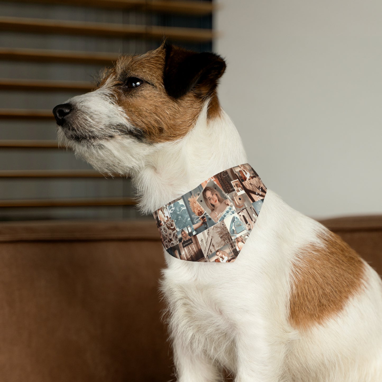 Sabrina Carpenter Peachy Princess Collage Pet Bandana Collar