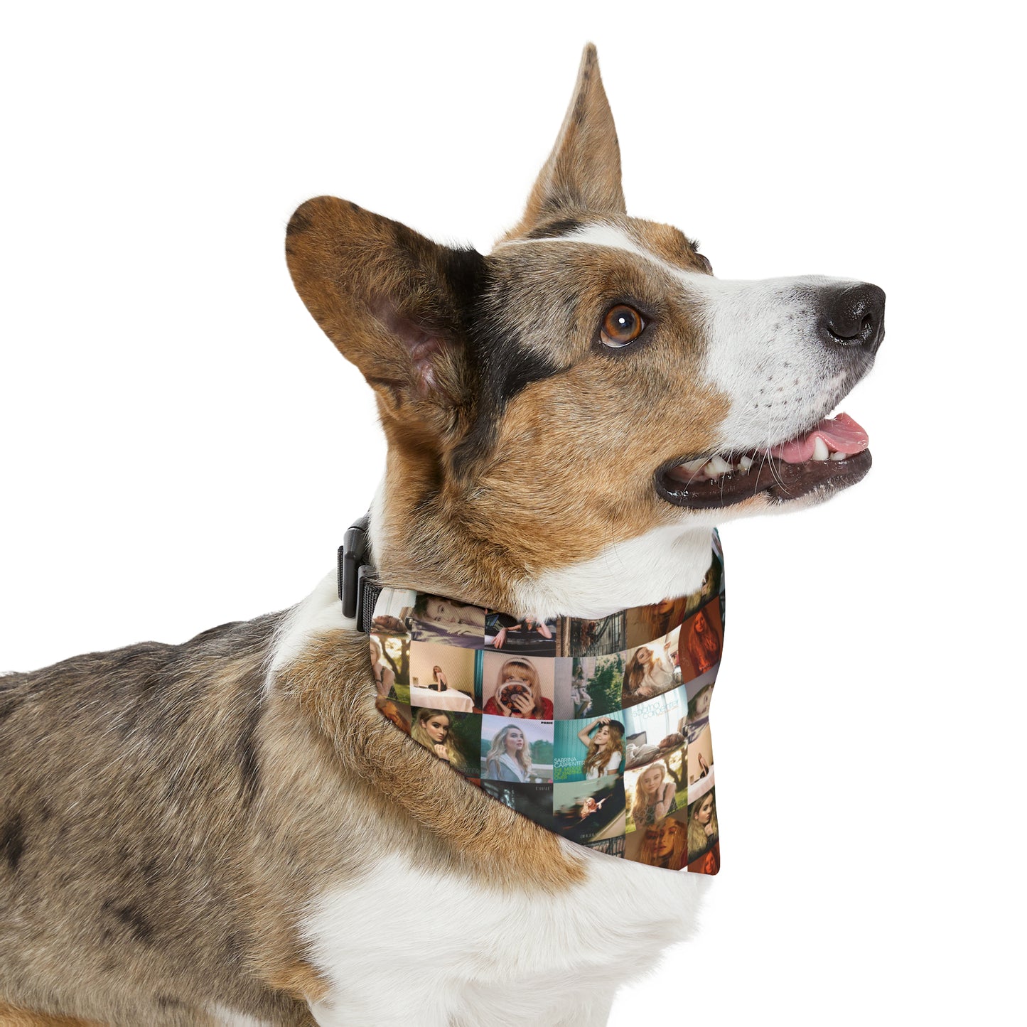 Sabrina Carpenter Album Cover Collage Pet Bandana Collar